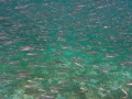 John Pennekamp Coral Reef State Park - Key Largo ...