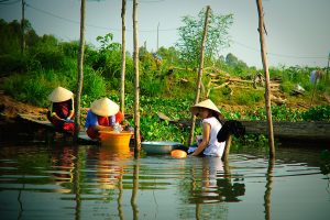 Derlat du Mekong, Vietnam